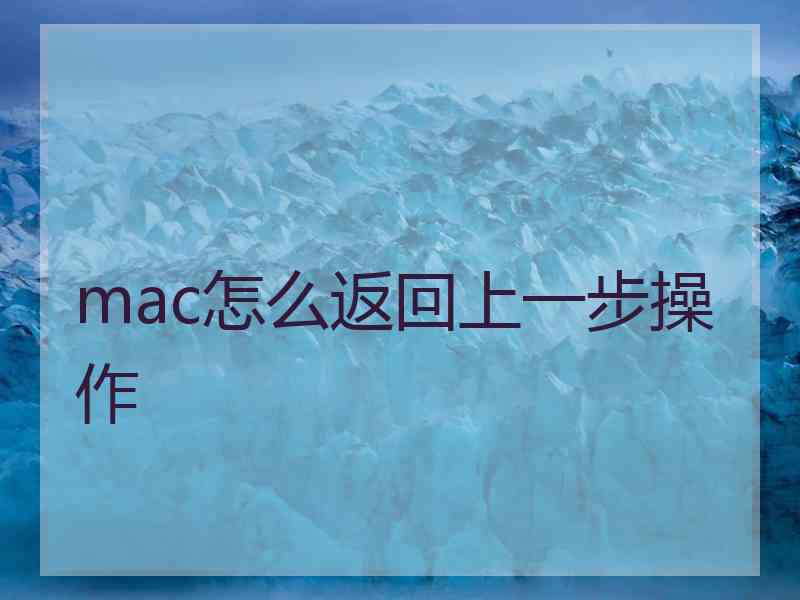 mac怎么返回上一步操作