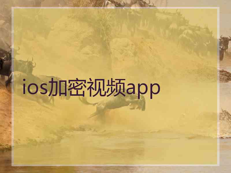 ios加密视频app