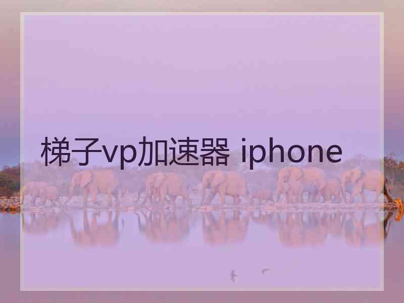 梯子vp加速器 iphone