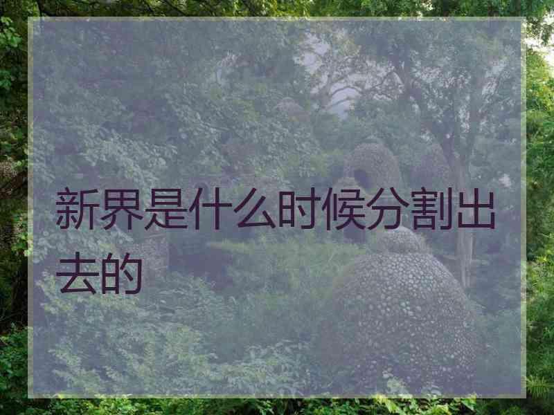 新界是什么时候分割出去的