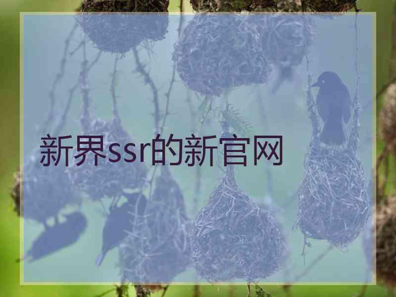 新界ssr的新官网