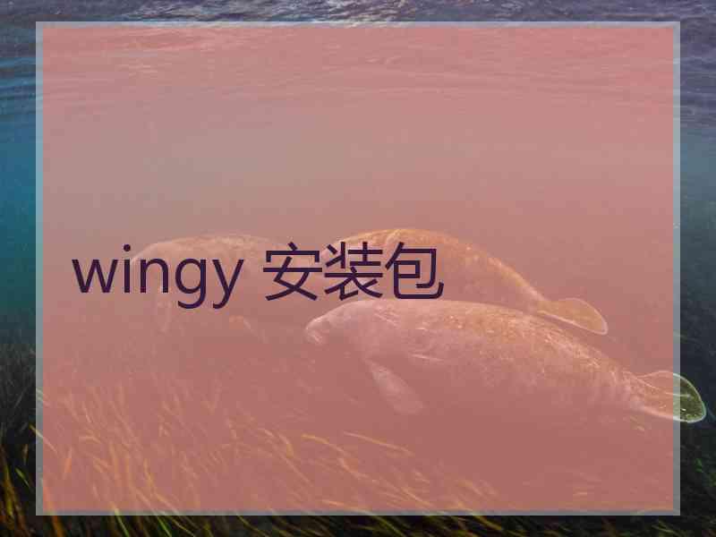 wingy 安装包