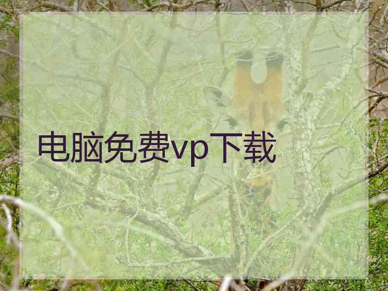 电脑免费vp下载