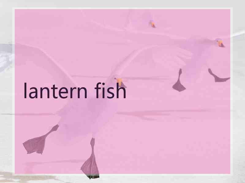 lantern fish