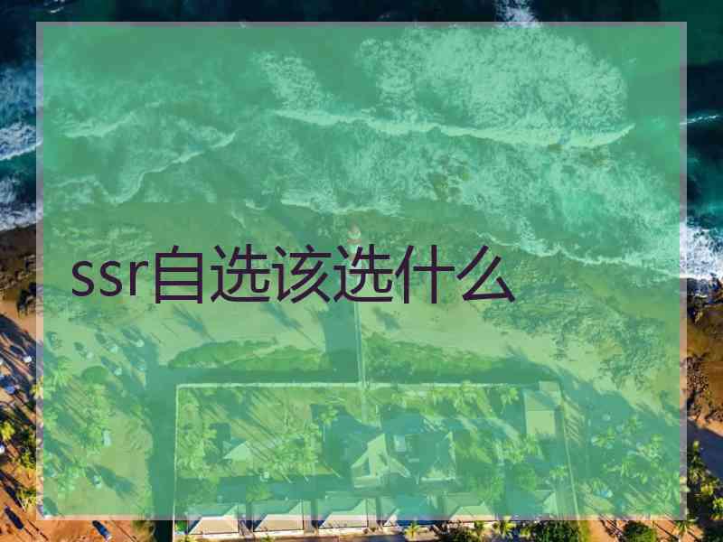 ssr自选该选什么