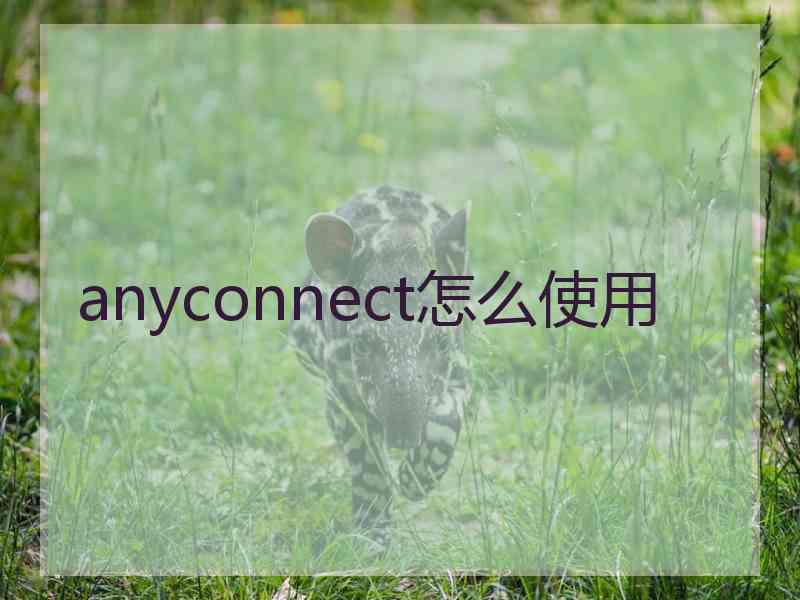 anyconnect怎么使用