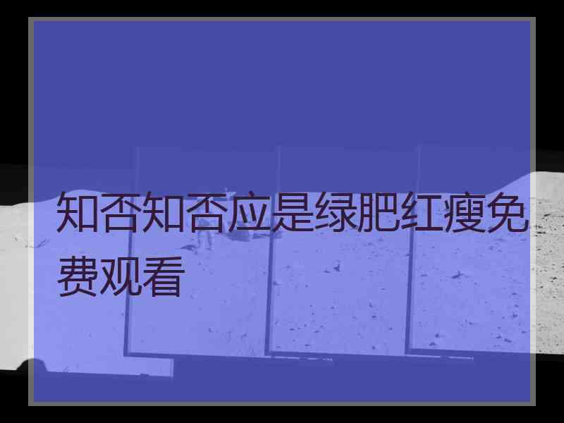 知否知否应是绿肥红瘦免费观看