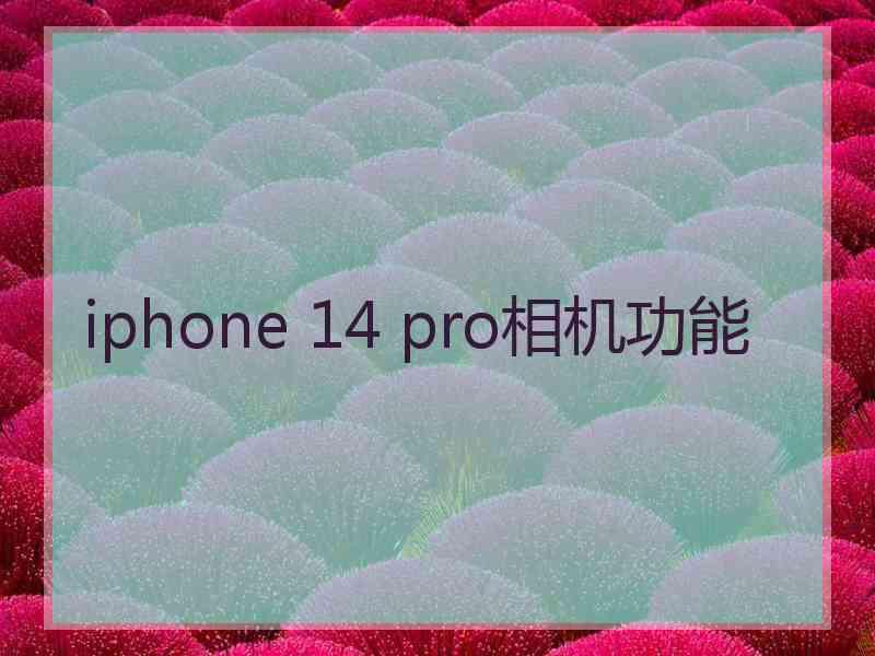 iphone 14 pro相机功能