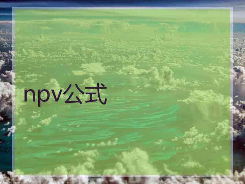 npv公式