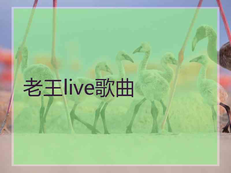 老王live歌曲