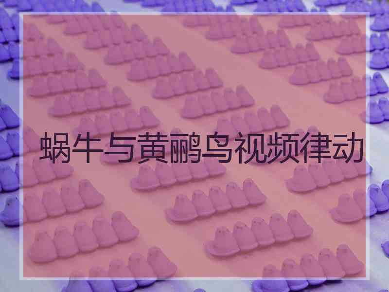 蜗牛与黄鹂鸟视频律动