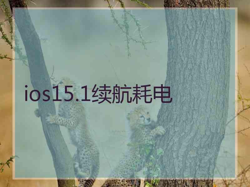 ios15.1续航耗电