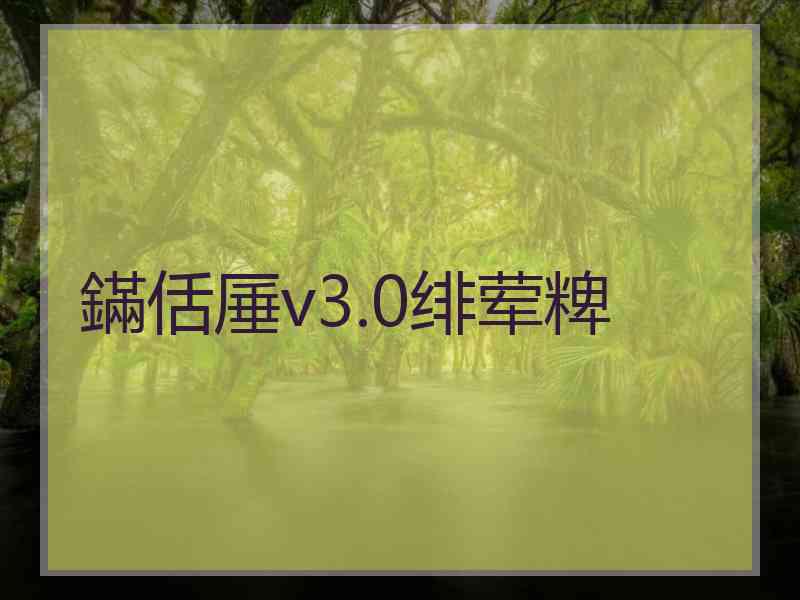 鏋佸厜v3.0绯荤粺