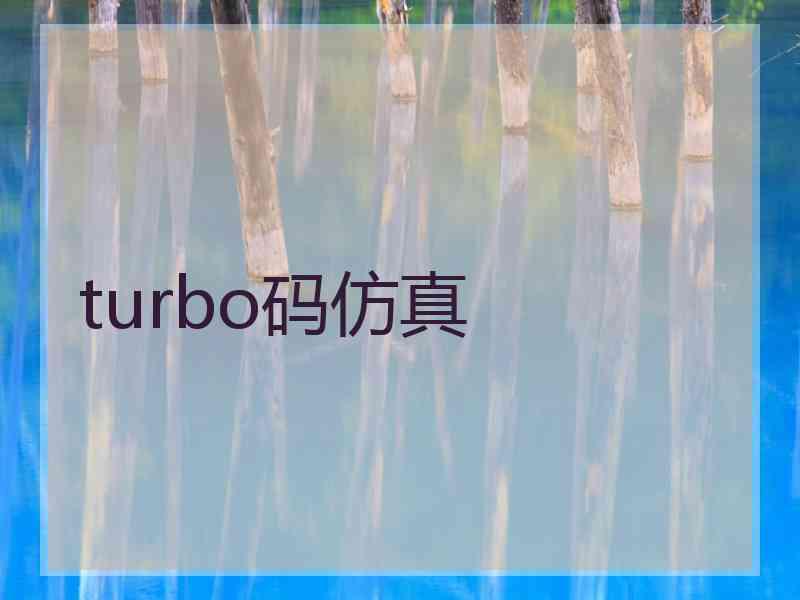 turbo码仿真