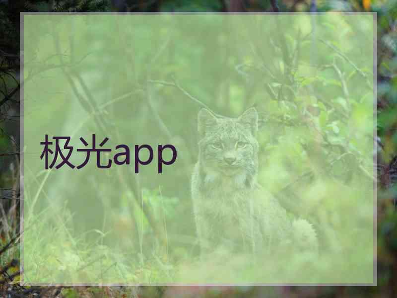 极光app