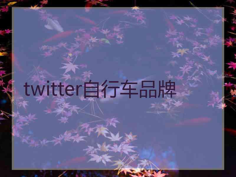 twitter自行车品牌