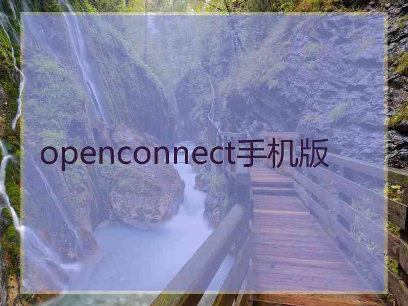 openconnect手机版