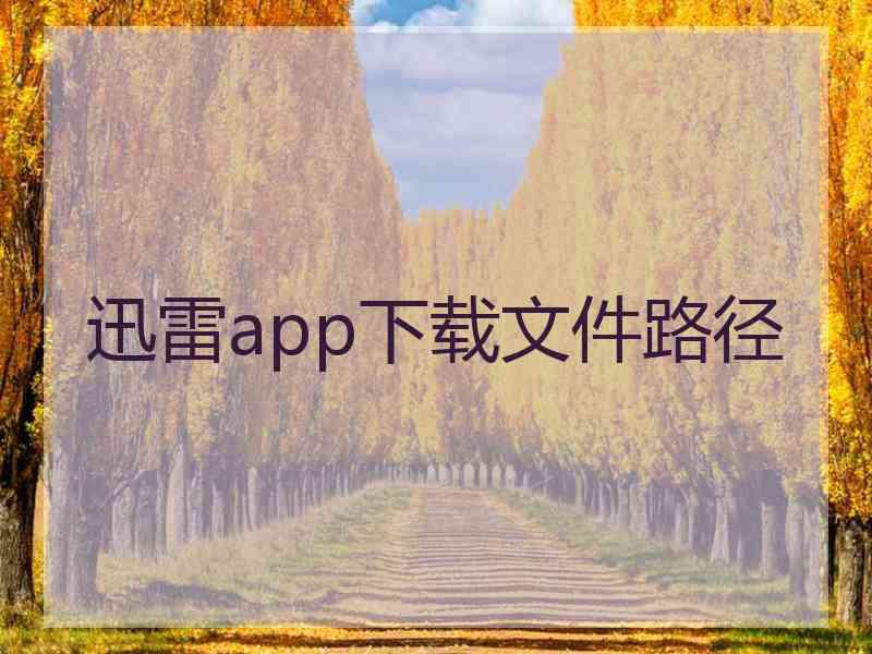 迅雷app下载文件路径