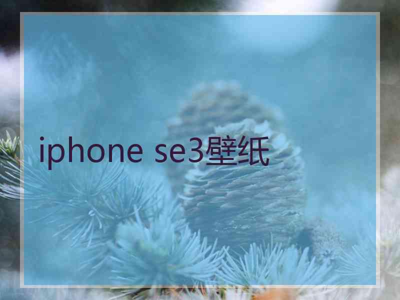 iphone se3壁纸