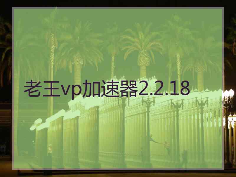 老王vp加速器2.2.18