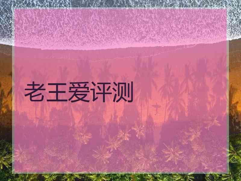 老王爱评测