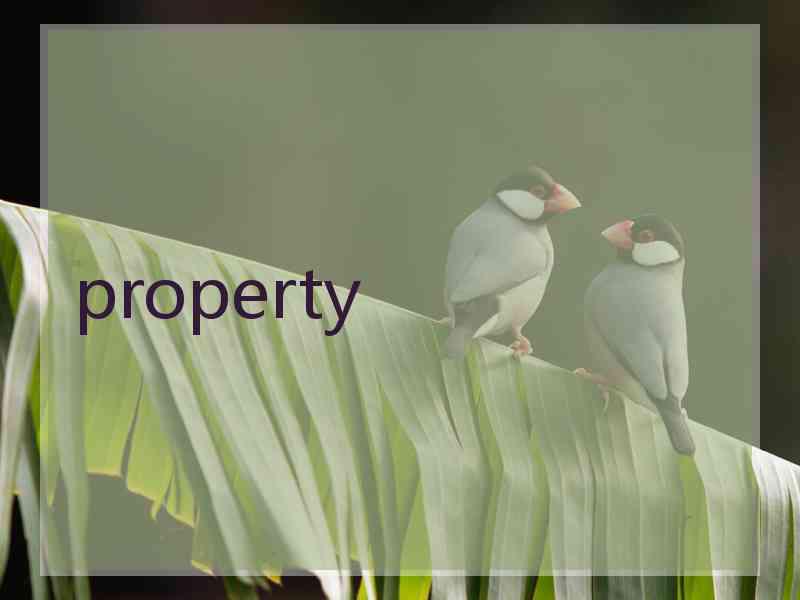 property