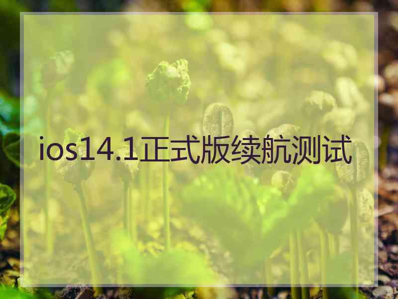 ios14.1正式版续航测试