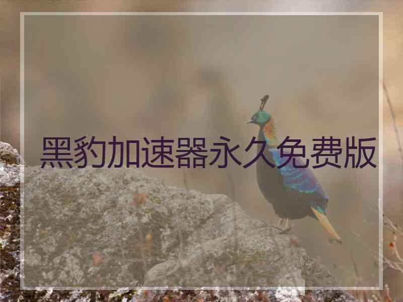 黑豹加速器永久免费版