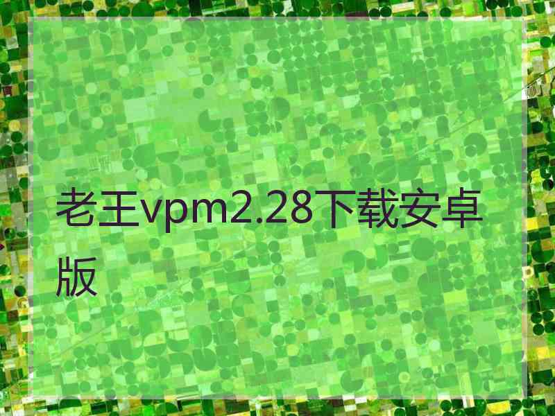 老王vpm2.28下载安卓版