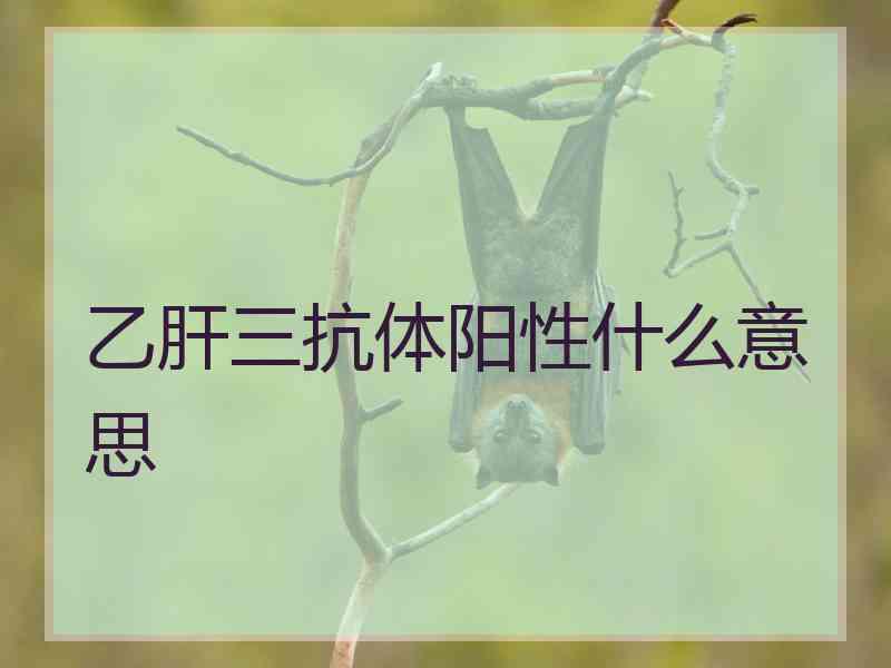 乙肝三抗体阳性什么意思