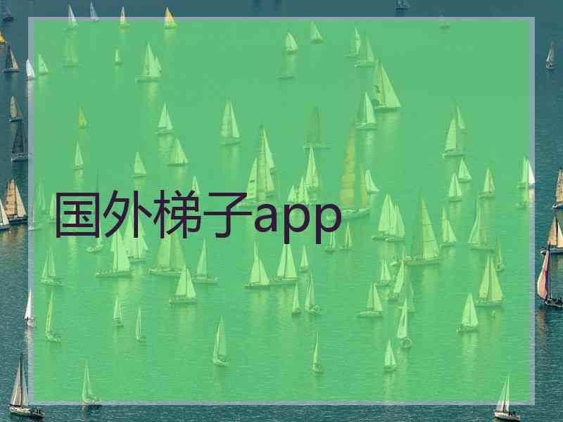 国外梯子app