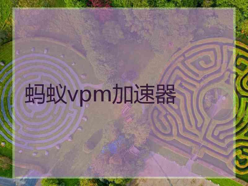 蚂蚁vpm加速器