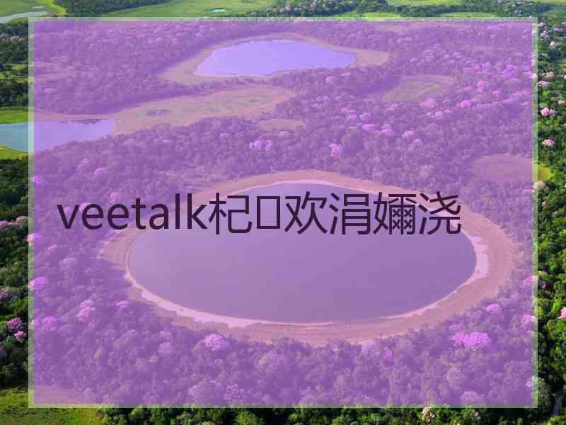 veetalk杞欢涓嬭浇