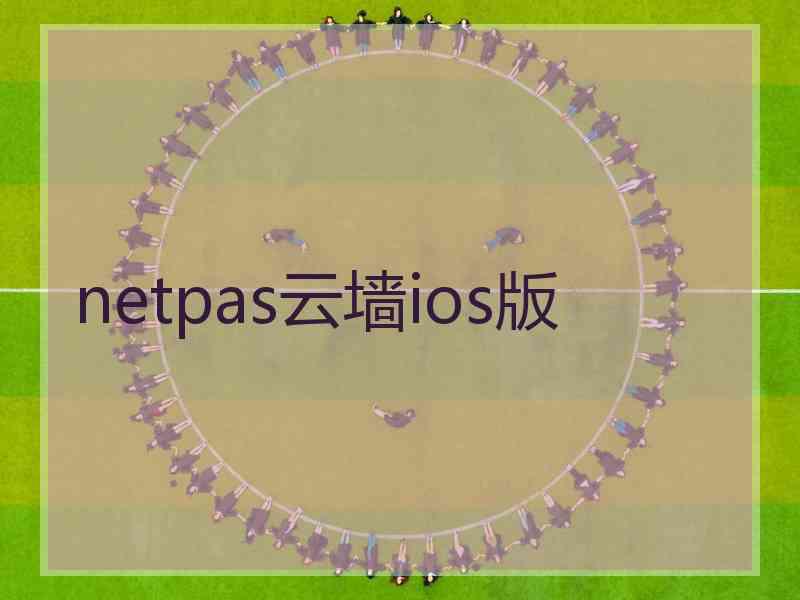 netpas云墙ios版