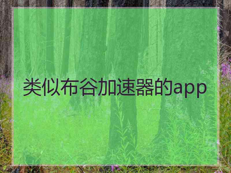 类似布谷加速器的app