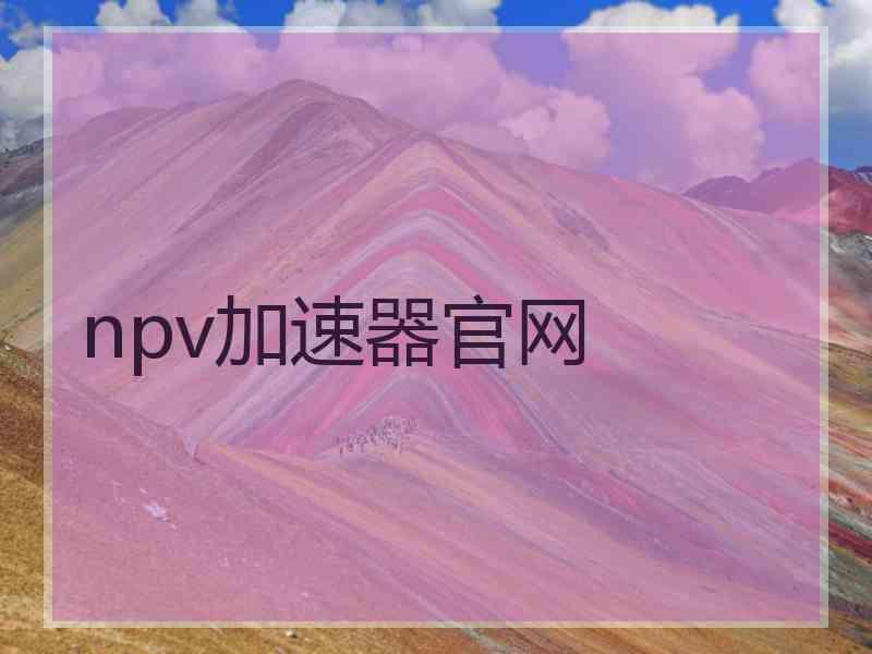 npv加速器官网