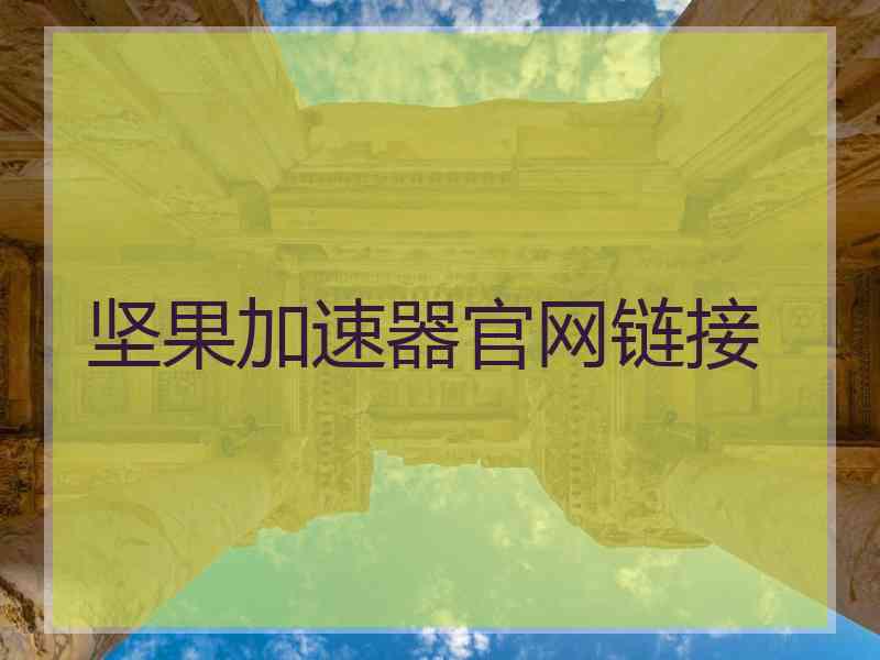 坚果加速器官网链接