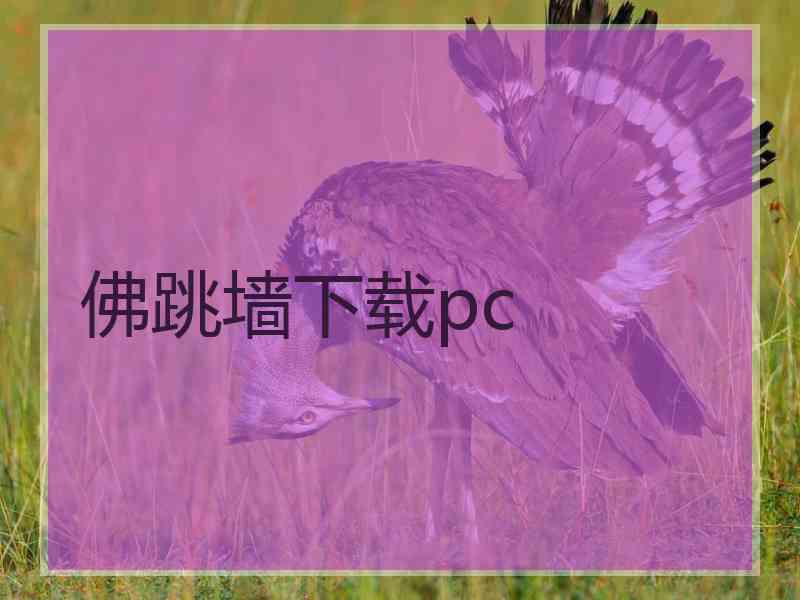 佛跳墙下载pc