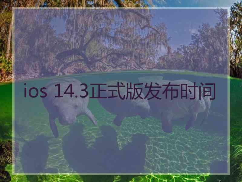 ios 14.3正式版发布时间