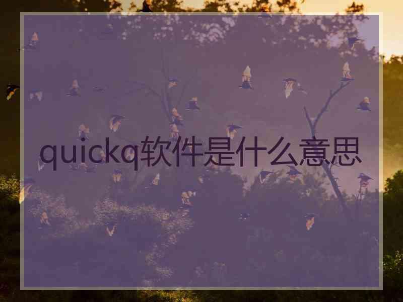 quickq软件是什么意思