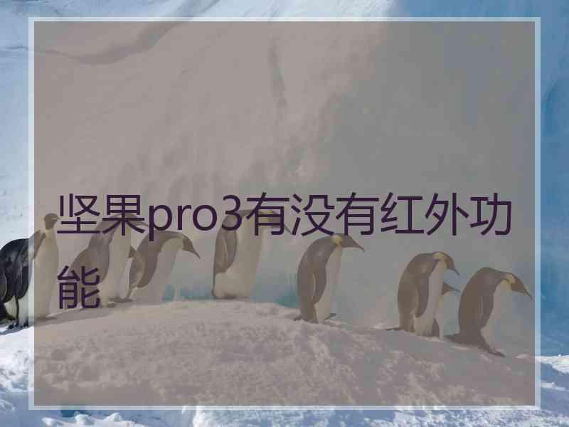 坚果pro3有没有红外功能