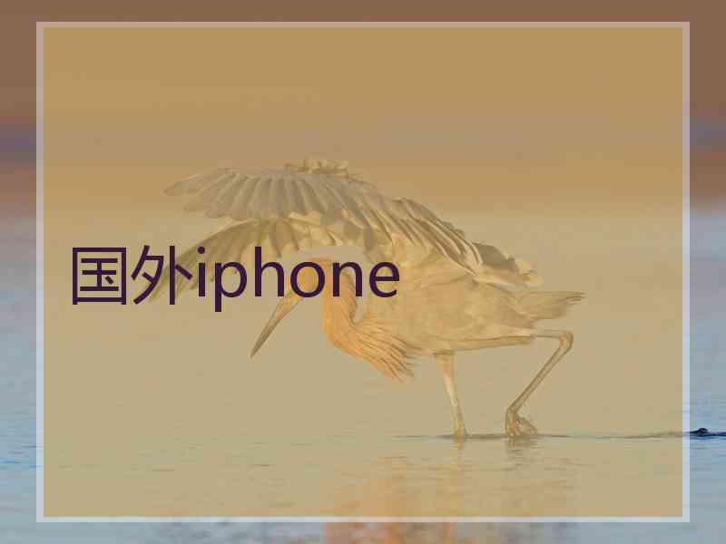 国外iphone