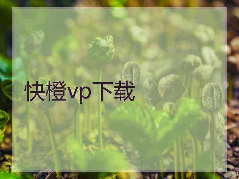 快橙vp下载