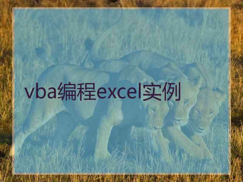 vba编程excel实例