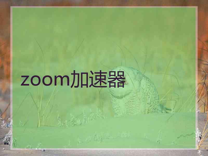 zoom加速器