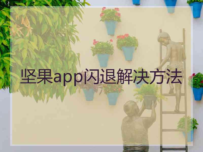 坚果app闪退解决方法