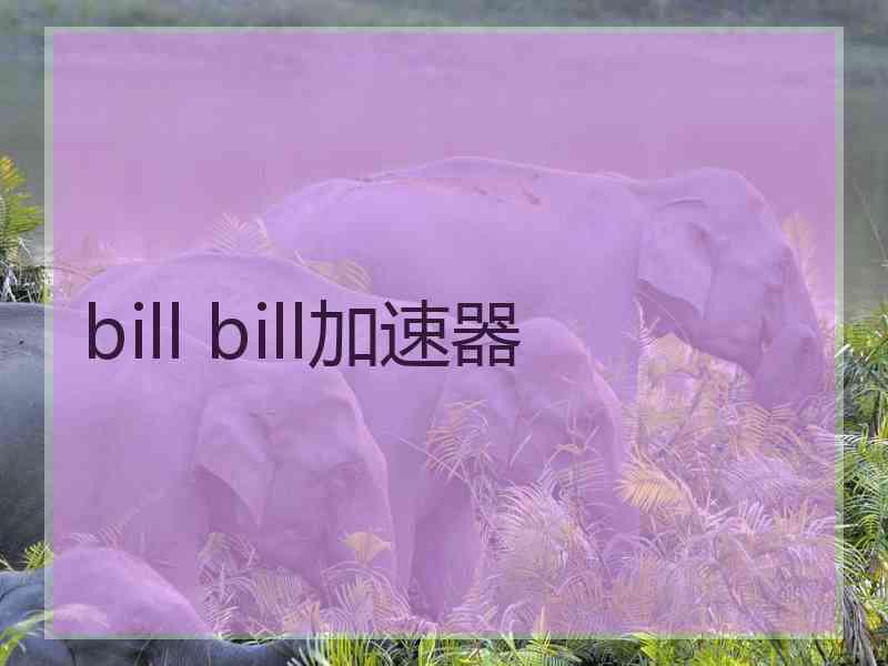 bill bill加速器