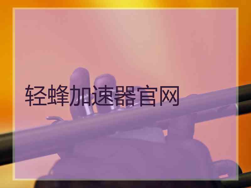 轻蜂加速器官网