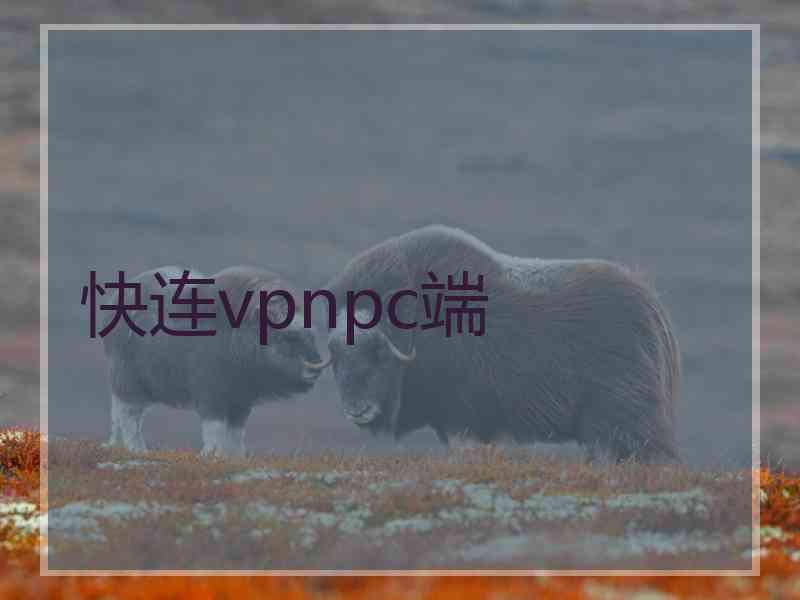 快连vpnpc端