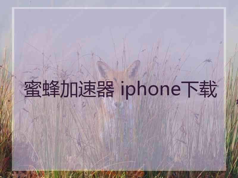 蜜蜂加速器 iphone下载